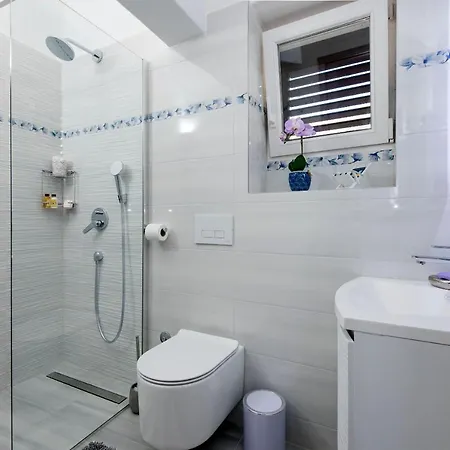 Bety דוגי ראט