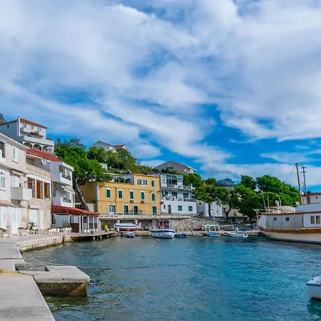 Bety דוגי ראט