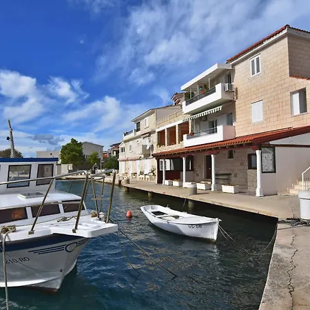 Bety דוגי ראט