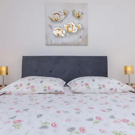 Bety דוגי ראט